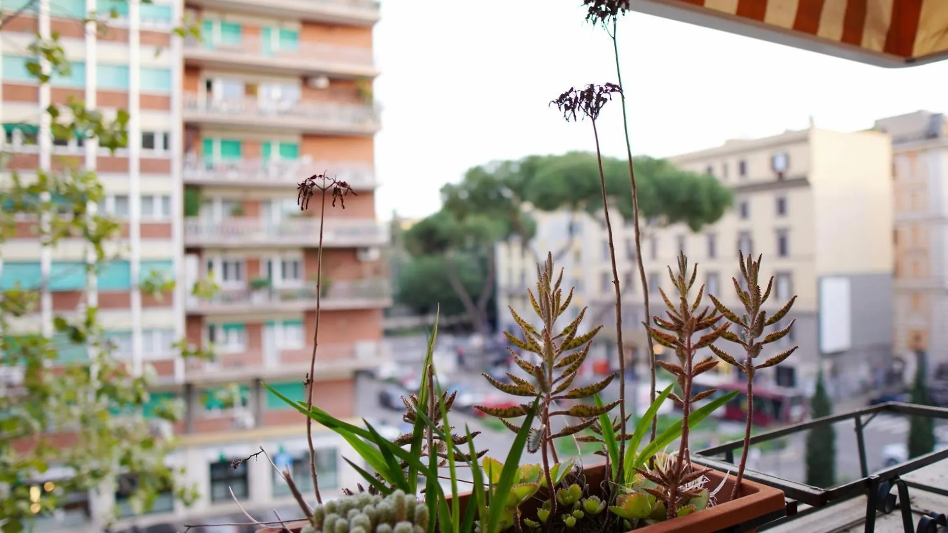 Dolce Roma Apartment 0*, Rome Italy